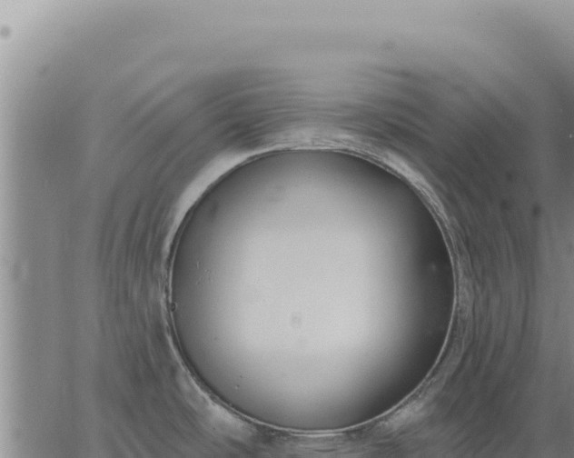 X0000063491486200601271707