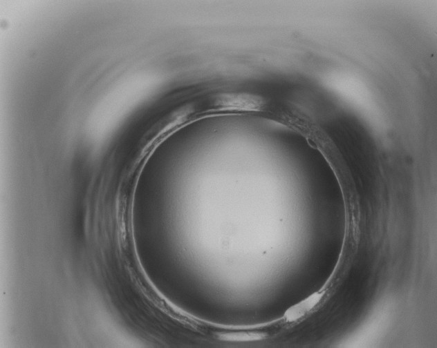 X0000063491487200601271707