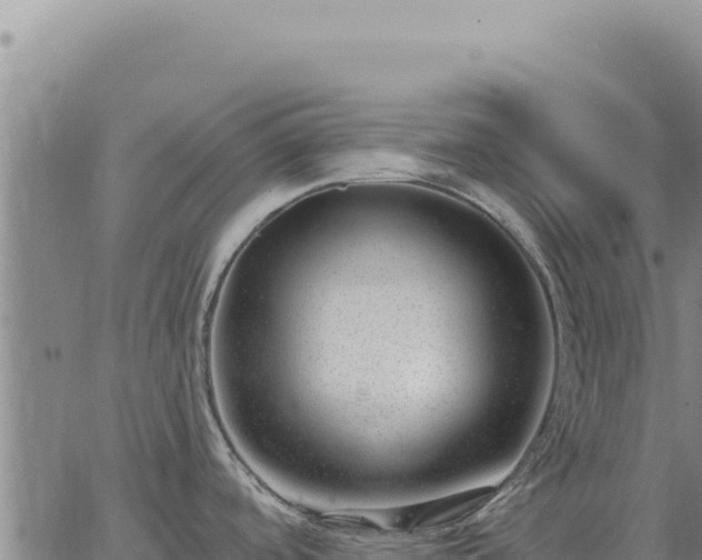 X0000063491488200601271707