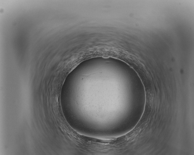 X0000063491489200601271706