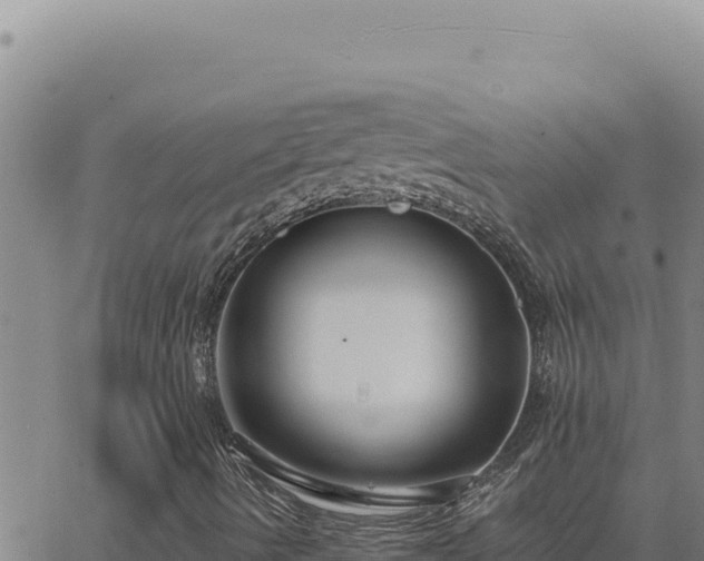 X0000063491490200601271706