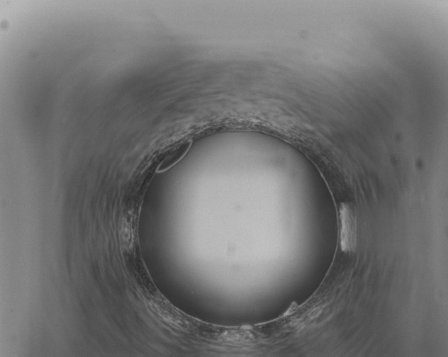 X0000063491491200601271706