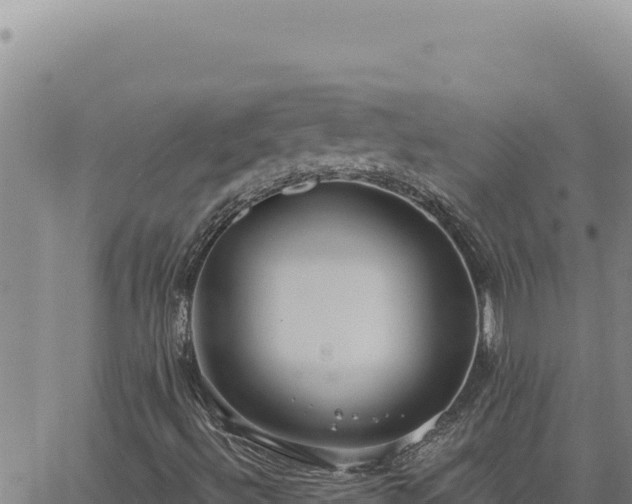 X0000063491492200601271706