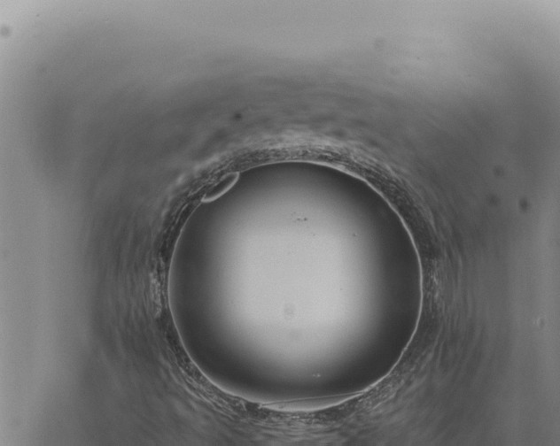 X0000063491493200601271706