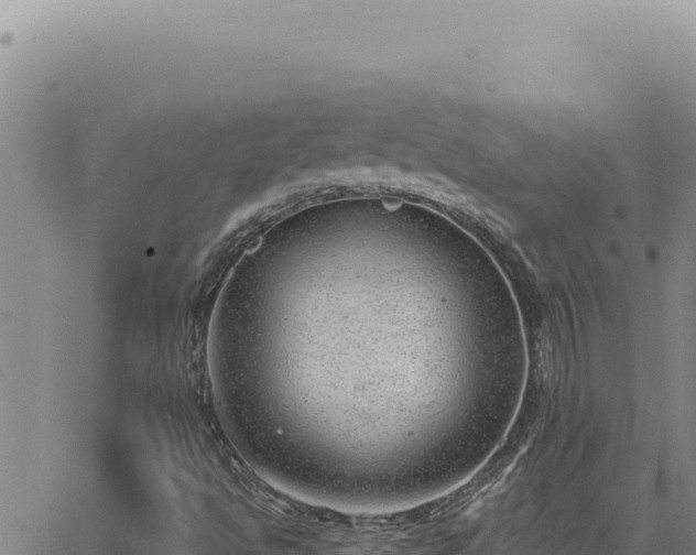 X0000063491494200601271706