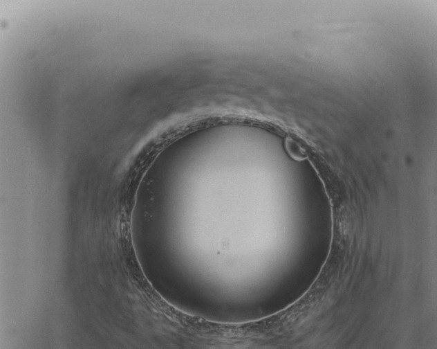 X0000063491495200601271706