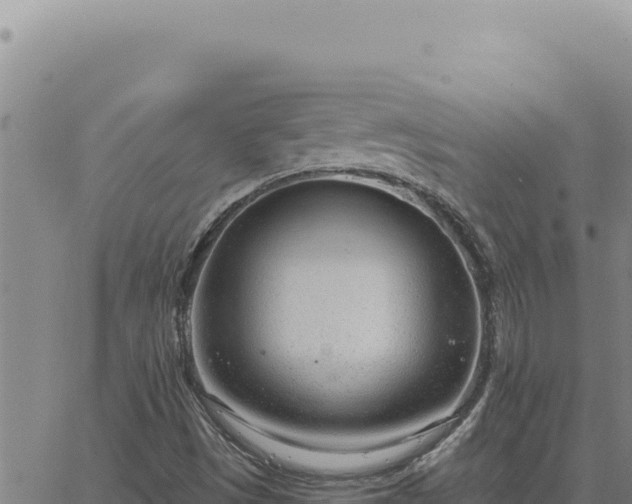 X0000063491497200601271706