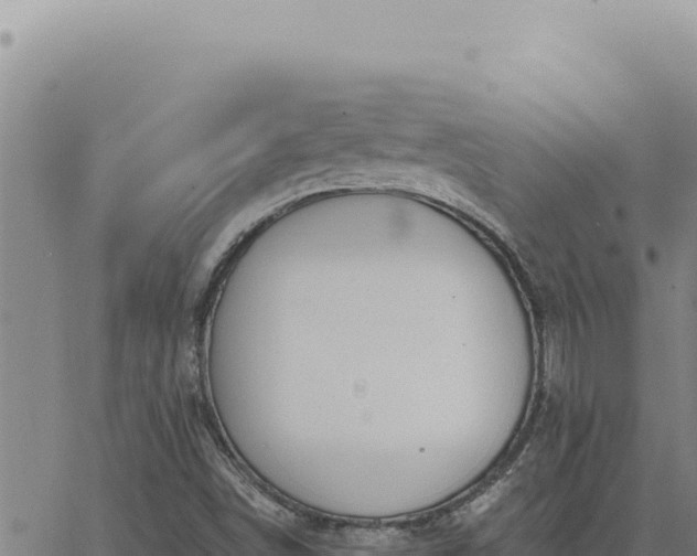 X0000063491498200601271706