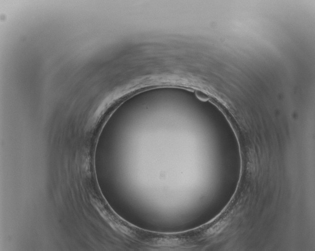 X0000063491499200601271707