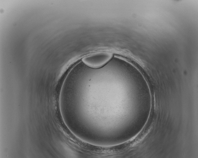 X0000063491501200601271707