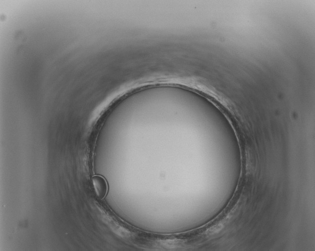 X0000063491502200601271707