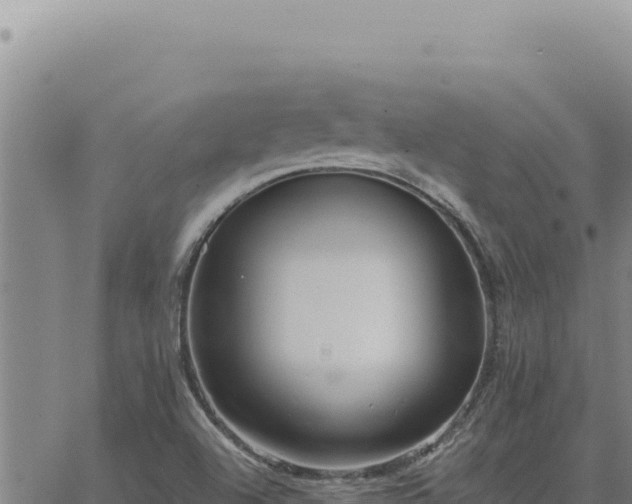 X0000063491504200601271707