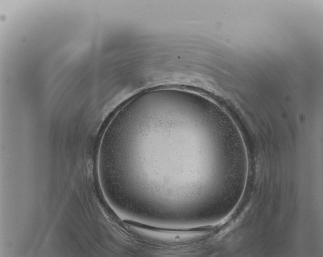 X0000063491505200601271707