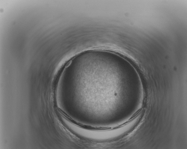 X0000063491506200601271707