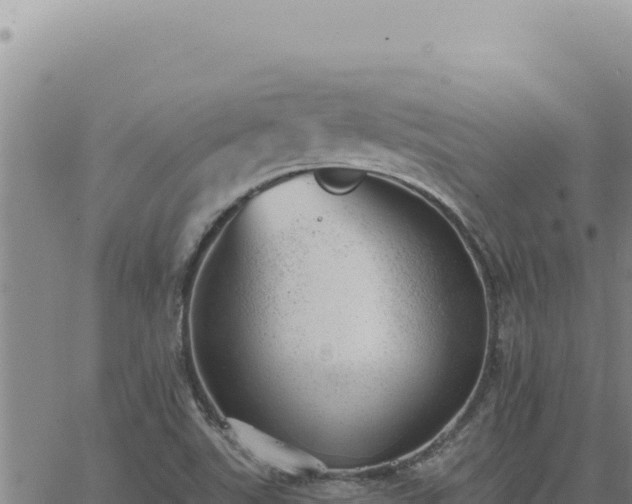 X0000063491507200601271707