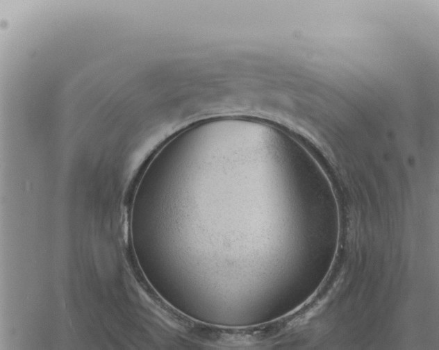 X0000063491509200601271707