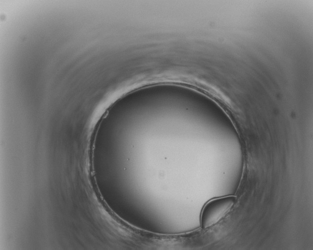 X0000063491512200601271707