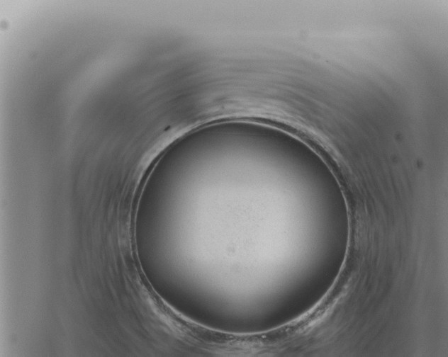 X0000063491513200601271707