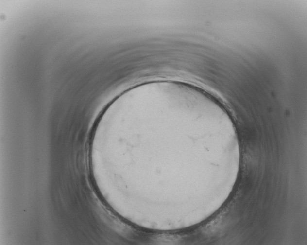 X0000063491514200601271707