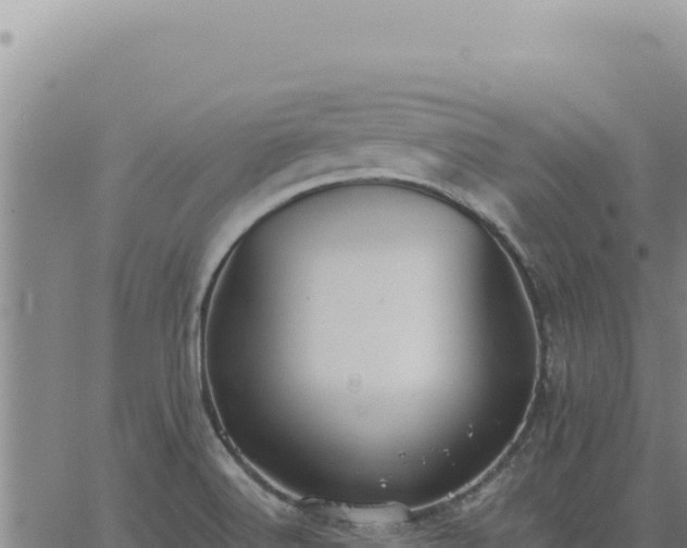 X0000063491516200601271707