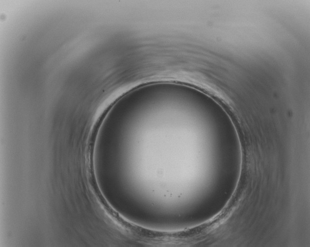 X0000063491517200601271707