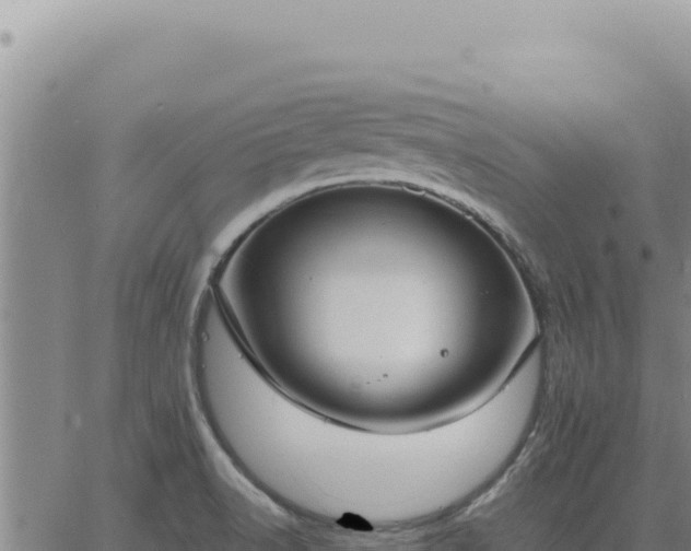 X0000063491518200601271707