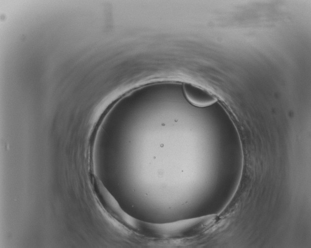 X0000063491519200601271707