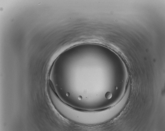 X0000063491520200601271707