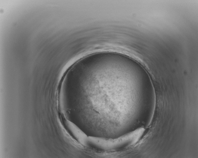 X0000063491522200601271707