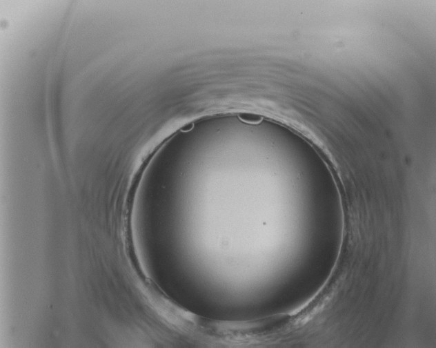 X0000063491525200601271707