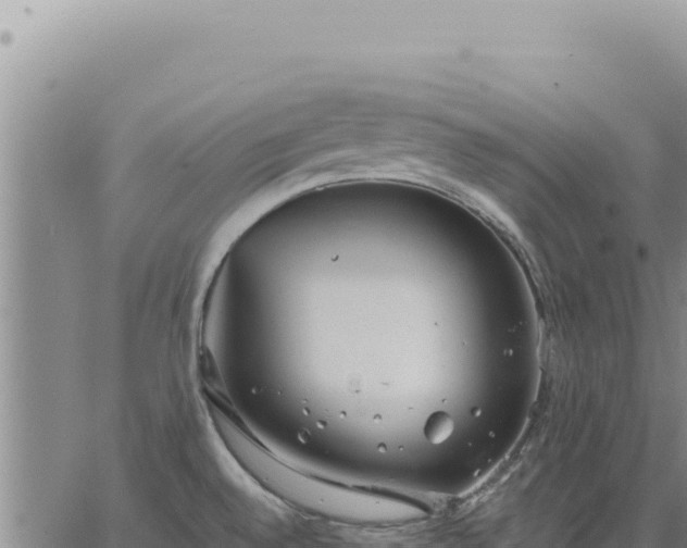 X0000063491528200601271707