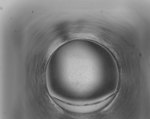 X0000063491529200601271707