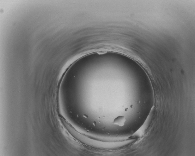 X0000063491530200601271707