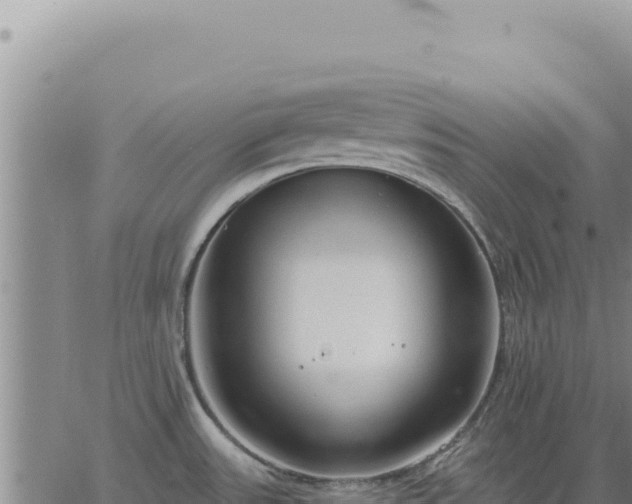 X0000063491531200601271707