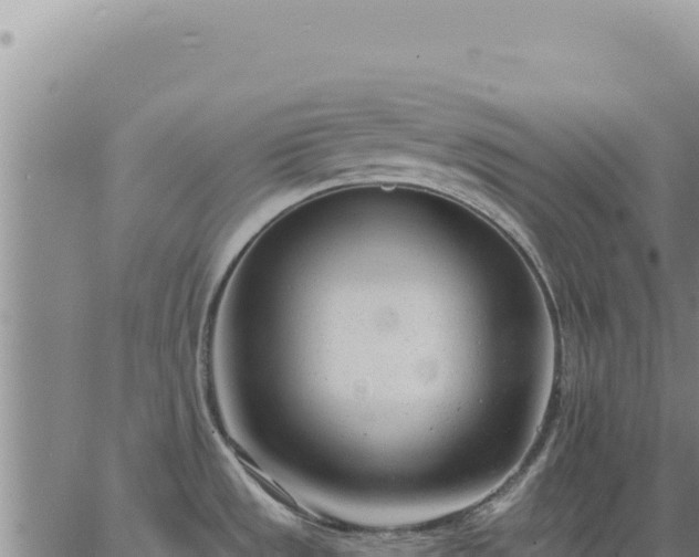 X0000063491533200601271707