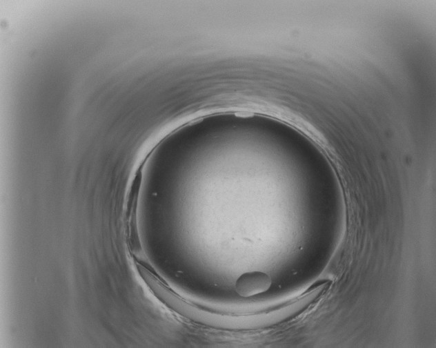 X0000063491536200601271707