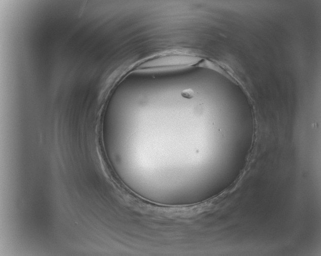 X0000063490001200602032003