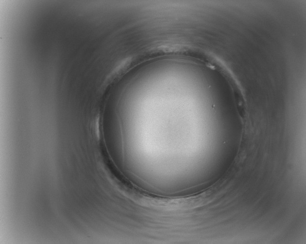 X0000063490019200602032003