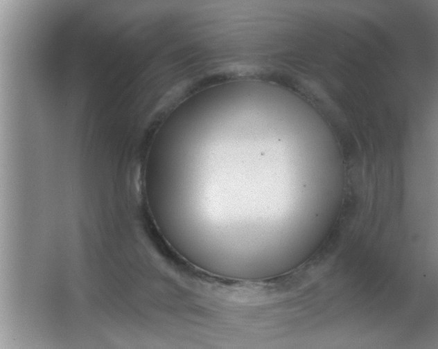 X0000063490024200602032003