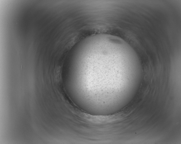 X0000063490034200602032003