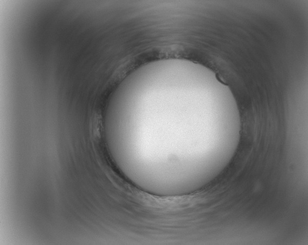 X0000063490038200602032003