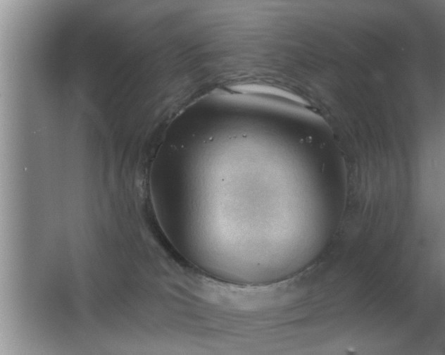 X0000063490039200602032003