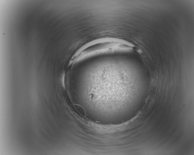 X0000063490047200602032003