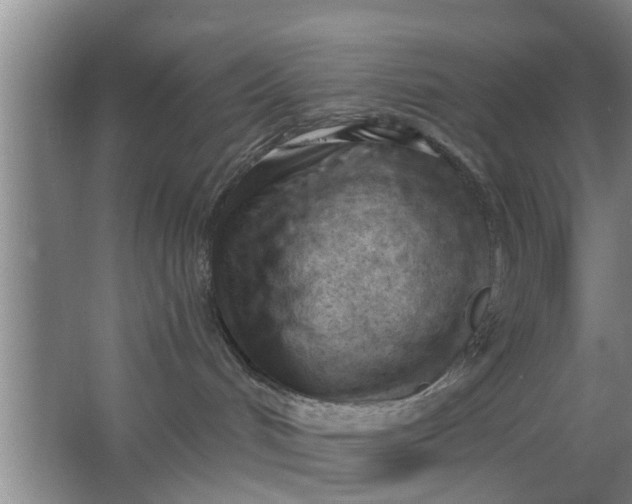 X0000063490048200602032003