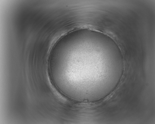 X0000063490049200602032002