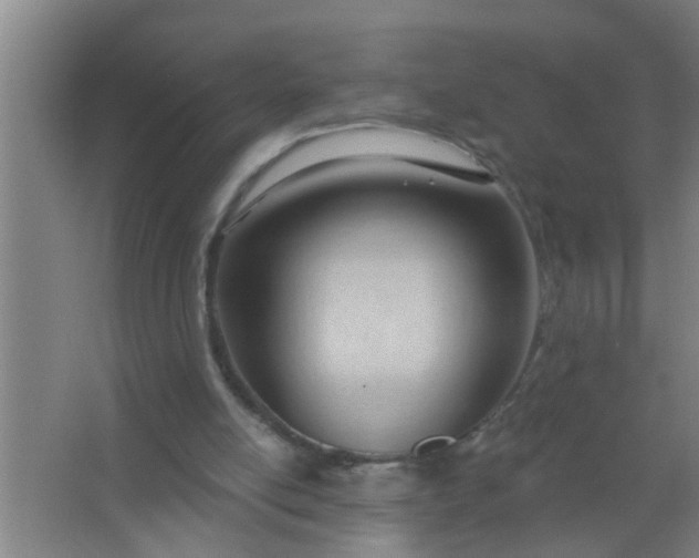 X0000063490054200602032002