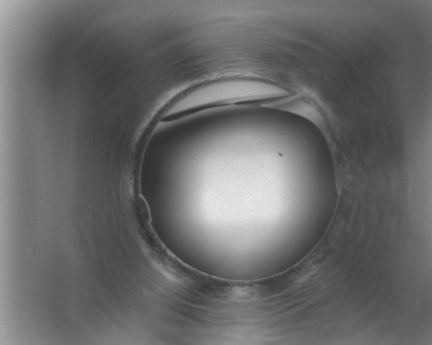 X0000063490060200602032002