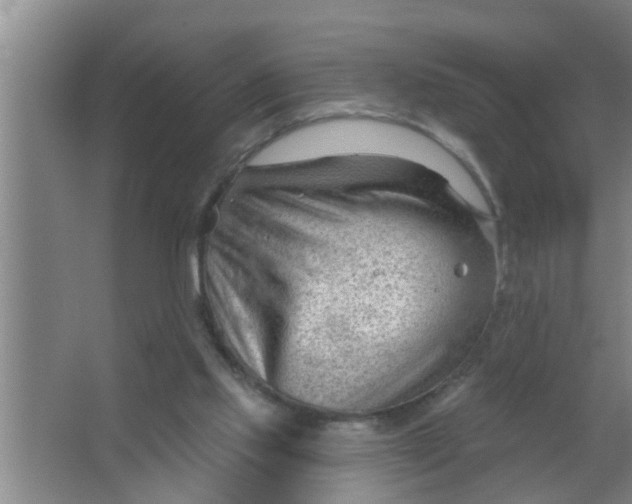 X0000063490061200602032002