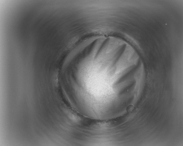 X0000063490065200602032002