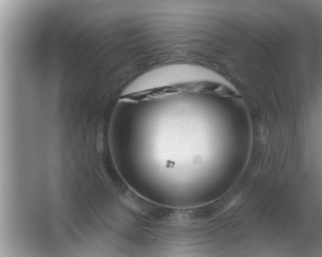 X0000063490080200602032002